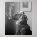 Zoek naar oude hond posters Huisdier