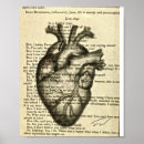 Zoek naar anatomisch hart posters Tekening