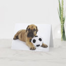 Zoek naar great dane kaarten Hond