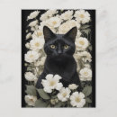Zoek naar zwarte bloem briefkaarten Bloemen