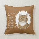 Zoek naar gember kussens Tabby