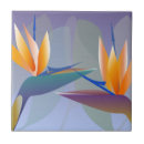 Zoek naar paradijsvogels tegels Strelitzia