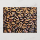 Zoek naar koffiebonen briefkaarten Koffiezetter
