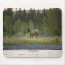 Zoek naar camera muismatten Horizontaal