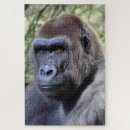 Zoek naar aap puzzels Zoogdier