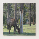 Zoek naar moraine lake puzzels Nationaal park banff