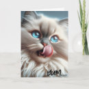 Zoek naar himalayan kat kaarten Feliene