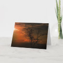 Zoek naar gedicht over bomen kaarten Voor iedereen