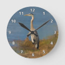 Zoek naar reiger klokken Natuur