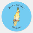 Zoek naar kakkerlak stickers Vogel