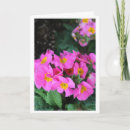 Zoek naar schoonzuster kaarten Roze