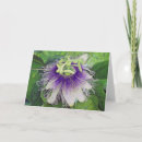 Zoek naar passiebloem briefkaarten Tropisch