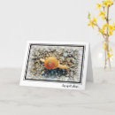 Zoek naar grappige slakken kaarten Voor iedereen