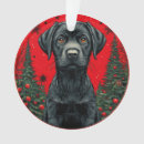 Zoek naar zwart labrador ornamenten Rood