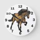 Zoek naar ijslands klokken Pony