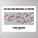 Zoek naar mitose posters Biologie
