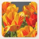 Zoek naar tulpen onderzetters Oranje
