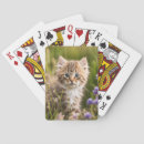 Zoek naar katje speelkaarten Tabby