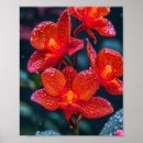 Zoek naar rode orchidee posters Rood