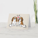 Zoek naar cavaliers kaarten Voor haar