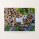 Zoek naar goat puzzels Schattig