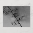 Zoek naar spooky briefkaarten Elk persoon