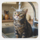 Zoek naar gestreepte kat stickers Katachtige