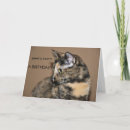 Zoek naar schildpad katten kaarten Dieren