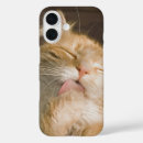 Zoek naar maine coon cat iphone hoesjes Voor iedereen