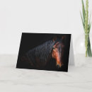 Zoek naar horse kaarten Dieren