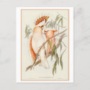 Zoek naar gould briefkaarten Illustratie