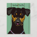 Zoek naar miniature pinscher briefkaarten Miniatuur
