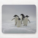 Zoek naar penguin muismatten Schattige dieren