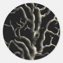 Zoek naar rif stickers Kust