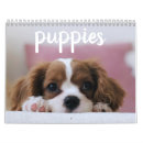 Zoek naar cute kalenders Hond