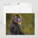 Zoek naar kameroen briefkaarten Reizen