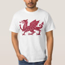 Zoek naar ddraig goch tshirts Draak