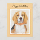 Zoek naar beagle briefkaarten Hond