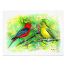 Zoek naar vogel tekening posters Voor hem/haar