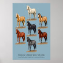Zoek naar knipsel posters Bay