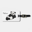 Zoek naar panda accessoires Dierlijk