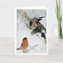 Zoek naar vos jacht kaarten Dier