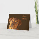 Zoek naar rottweiler puppy kaarten Schattig