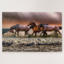 Zoek naar bruine paarden puzzels Mooi