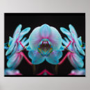 Zoek naar botanische illustraties posters Voor haar