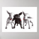 Zoek naar grappige dierentuin posters Ieder kind