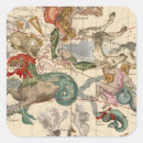 Zoek naar constellatie stickers Aquarius