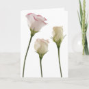 Zoek naar knipsel briefkaarten Bloemen