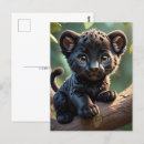 Zoek naar panter briefkaarten Wilde dieren