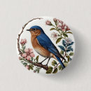 Zoek naar blauwe vogel buttons Natuur